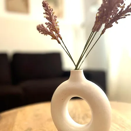 Loira Pignatelli 1 Habitacion En Zona Centrica Apartamento Saragoça